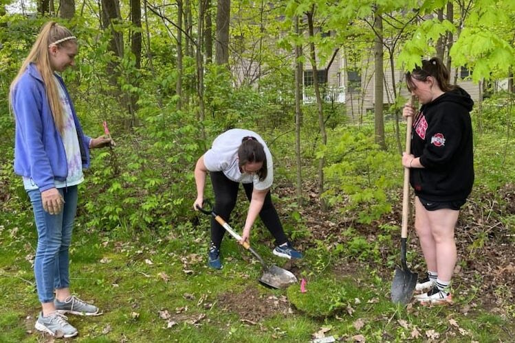 Students at work at the first Tree-Plenish event in 2023.