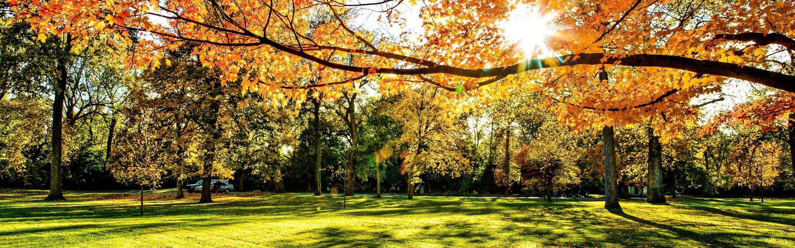 Fall colors have sprinkled through the leaves on the trees at Snyder Park.