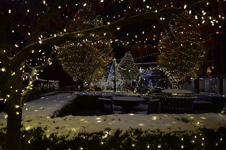 Snow-covered lights glowing among the bushes and trees throughout the esplanade near the Heritage Center have become inviting to Downtown Springfield visitors.