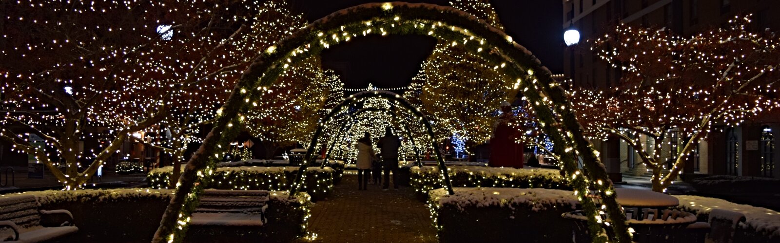 Downtown Springfield is lit up in a whole new way this year, creating an experience to attract people to the area this winter.