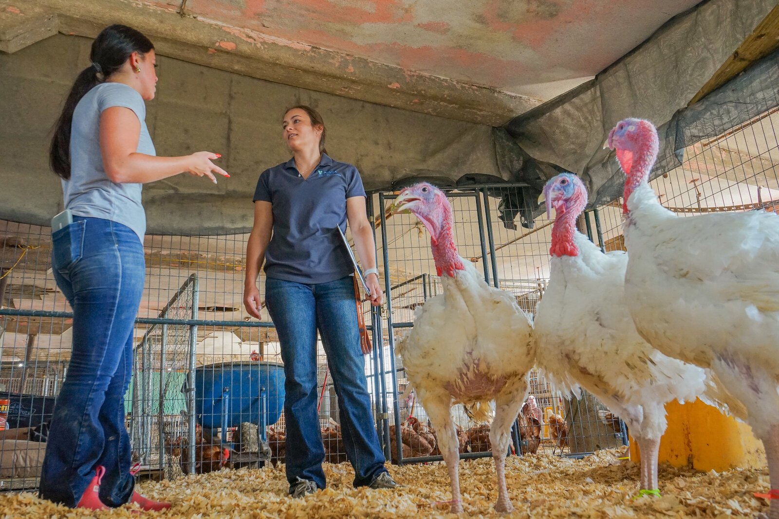 Simpson works throughout summer break to support her ag students.