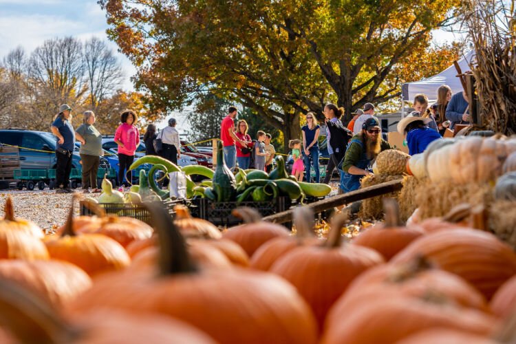 Organic vegetables and meat are grown and sold at the farm.