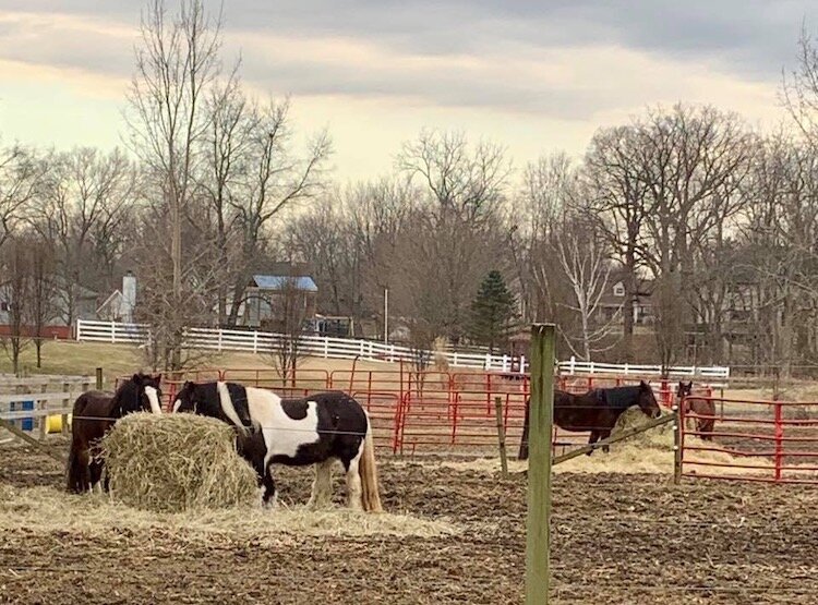 A photo of Autumn Trails Stable from 2019.
