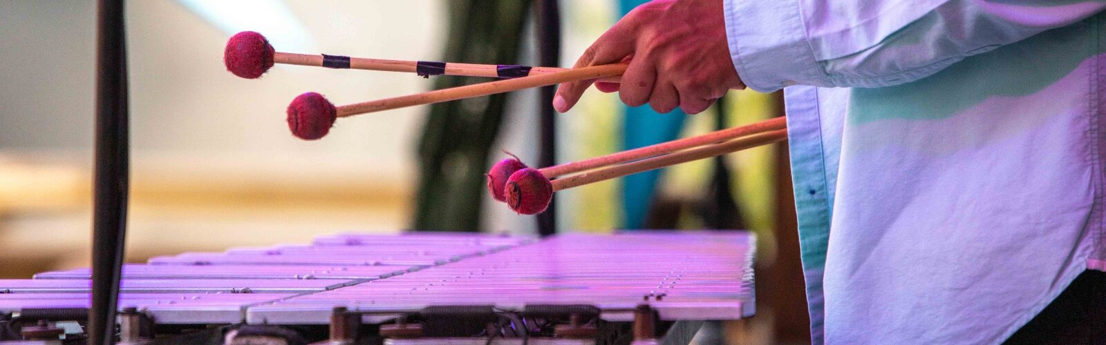 Musicians at the Springfield Jazz & Blues Fest.