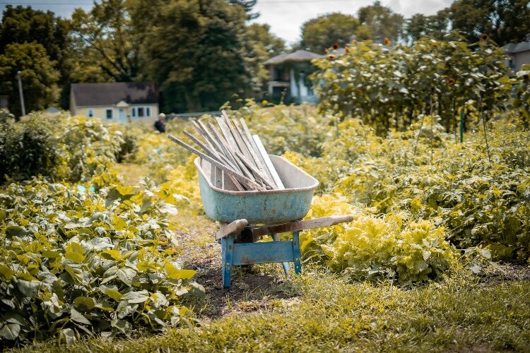 Community members on the southwest side of Springfield have the opportunity to grow fresh produce in plots within the Jefferson Street Oasis Garden.