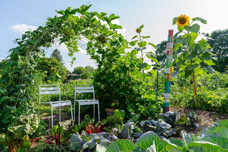 Jefferson Street Oasis boasts beautiful blooms, produce and more.