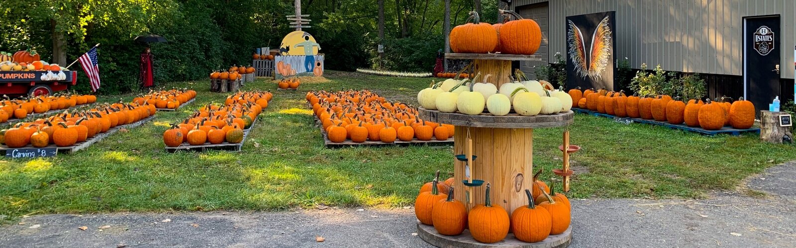 Jamie Hough launched Mad Pumpkins at H. Estates Farm in 2018.