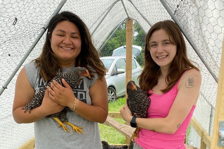 Chickens are one of the resources through SOUP.