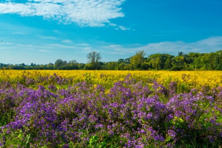 The Clark County Parks District is part of an organization raising money to help protect the environment at parks throughout the Miami Valley.