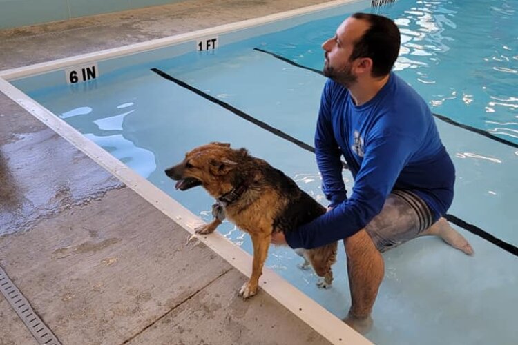 Canine therapist Nick Vinser works with dogs at the PAW Center's therapy pool.