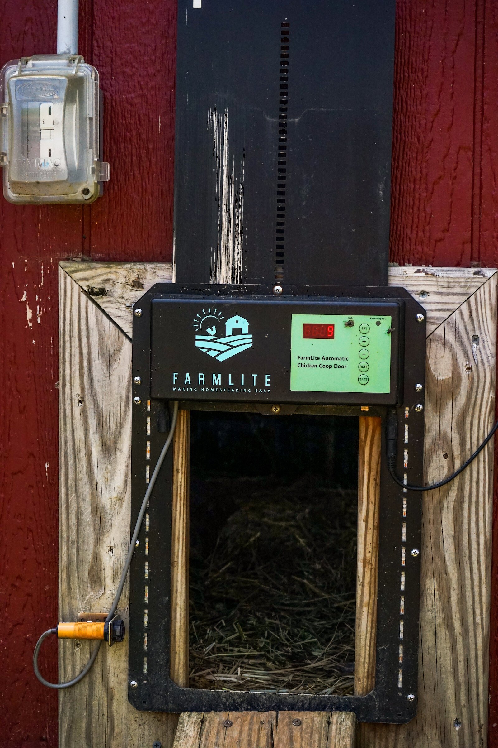 An automatic chicken door serves as a possible solution to protecting poultry in backyard environments.