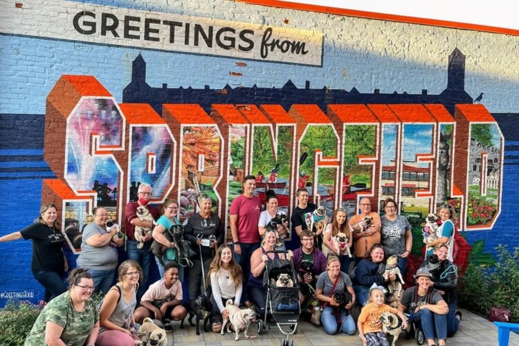 Greetings from Springfield mural - featured with a group of Pug-toberfest goers this past fall.