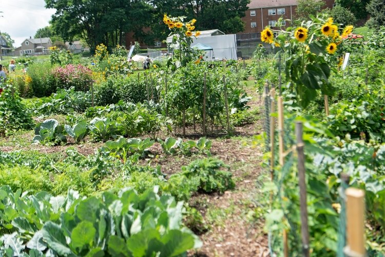 Jefferson Street Oasis during South Side in Bloom 2023.