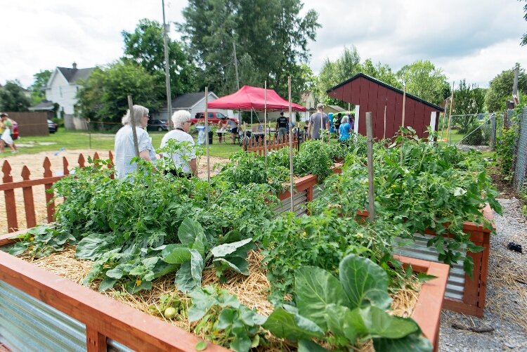 Springfield Promise Neighborhood Visioning Garden during South Side in Bloom 2023.