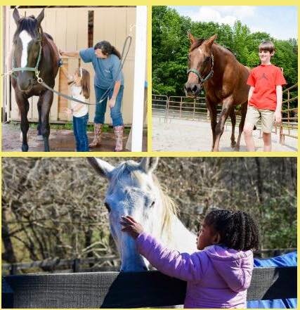 A new program at Autumn Trails Stable will serve youth who are in foster care or who have been adopted and who may have complex needs by pairing them with both a horse and an adult mentor during weekly one-hour sessions.