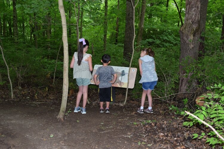 The markers along the Storybook Trail in John Bryan State Park tell a story about an oak tree. Families can learn facts about oak trees as they read the story  while they follow the trail.