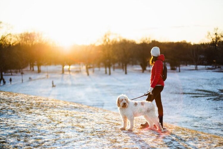 As long as you're dressed for the weather, getting out in nature even when it's cold out can have many mental and physical health benefits.